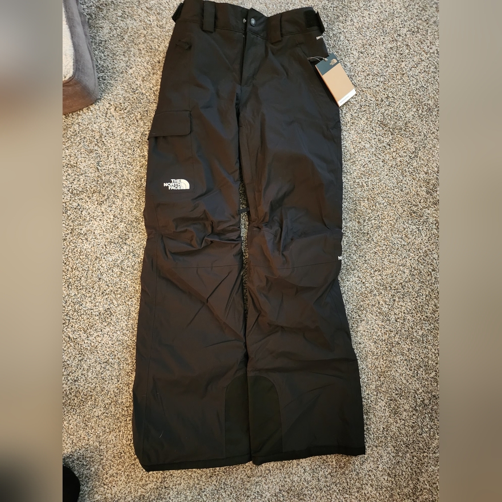 The North Face Freedom Insulated Ski Pant (Women's)